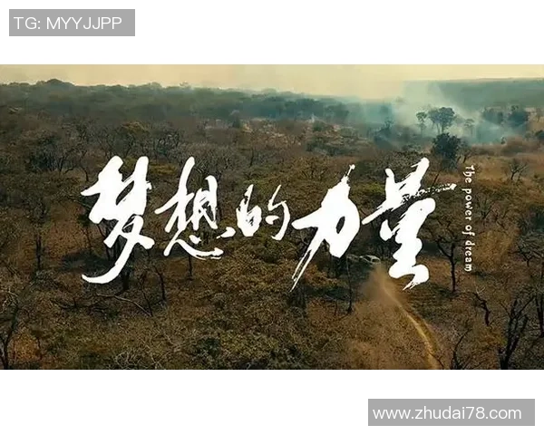 张昊的奋斗历程与成长故事揭示了梦想与坚持的力量